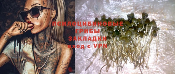 тгк Беломорск