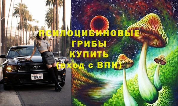 тгк Беломорск