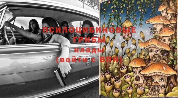 тгк Беломорск