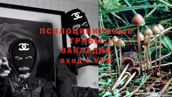 тгк Беломорск